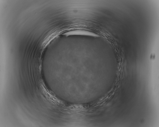 X0000113610194200909251151