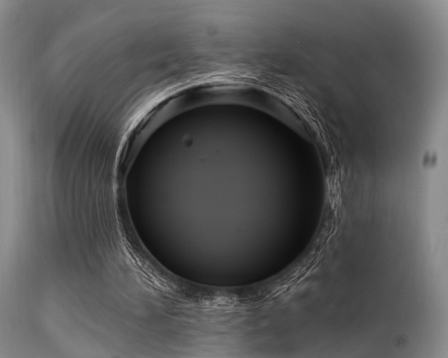 X0000113610196200909251151