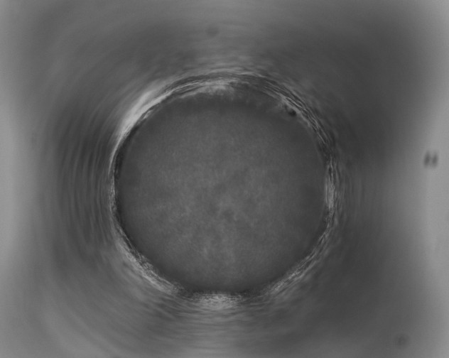 X0000113610198200909251151