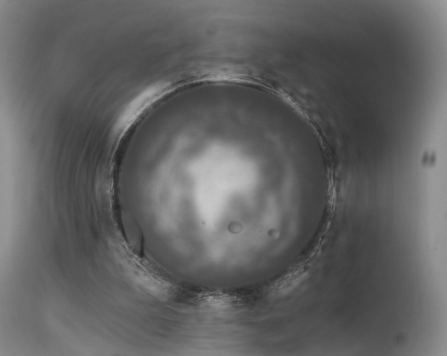 X0000113610199200909251150