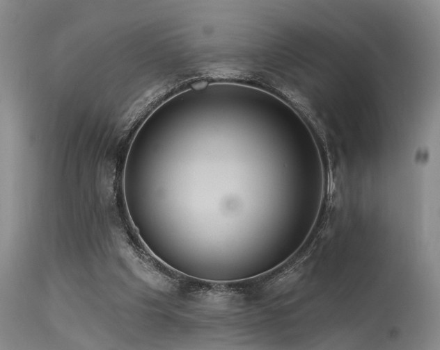 X0000113610201200909251150