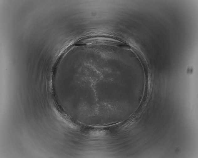 X0000113610202200909251150