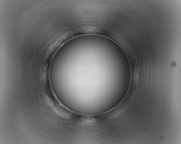 X0000113610206200909251150