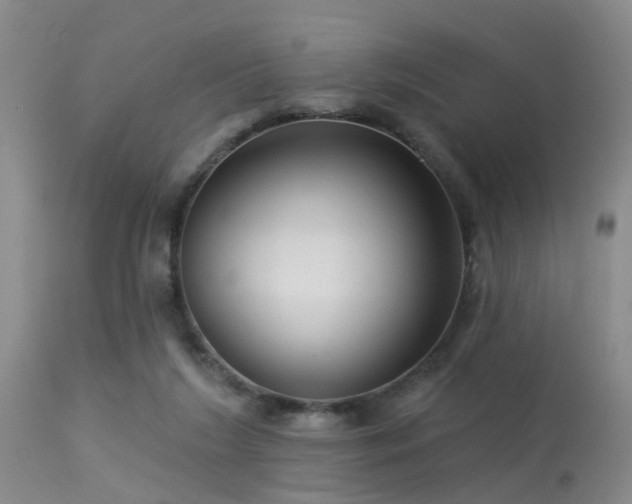 X0000113610212200909251150