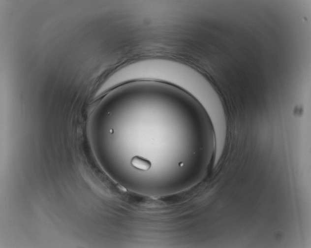 X0000113610215200909251150