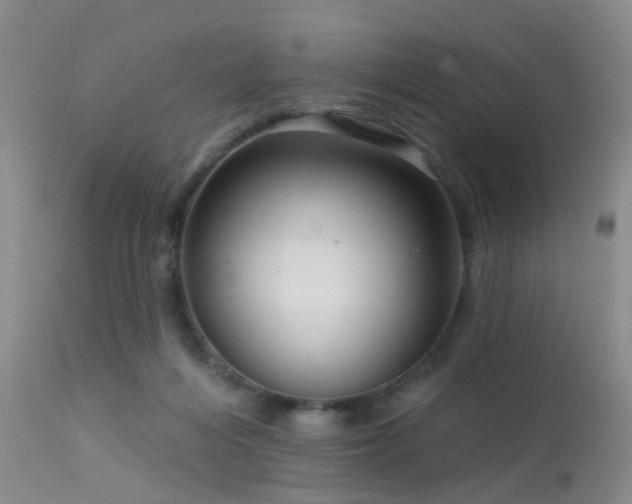 X0000113610216200909251150