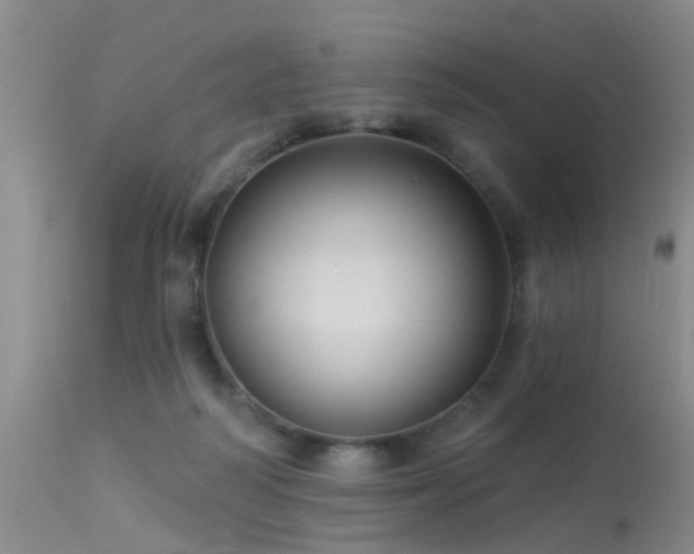 X0000113610218200909251150