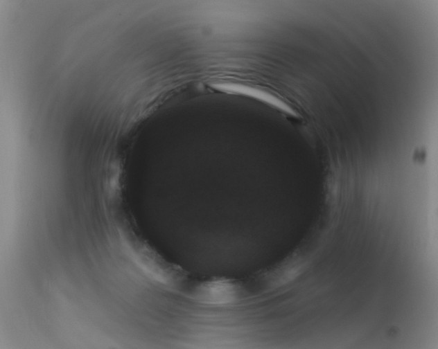 X0000113610219200909251150