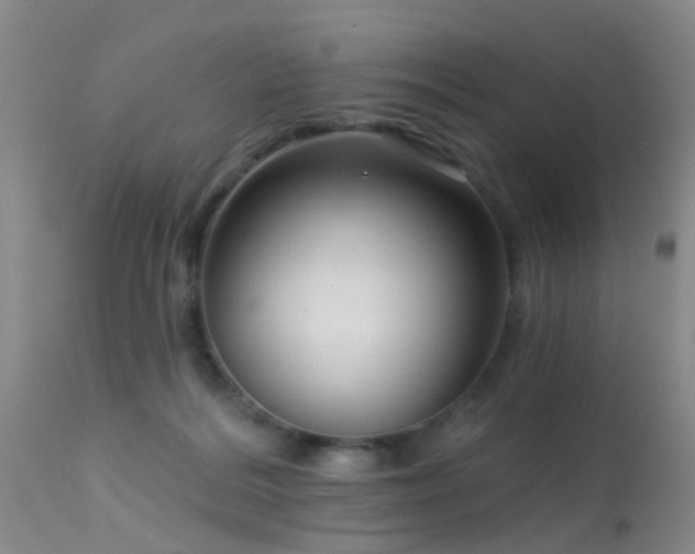 X0000113610220200909251150