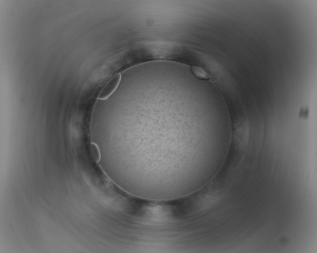 X0000113610221200909251150