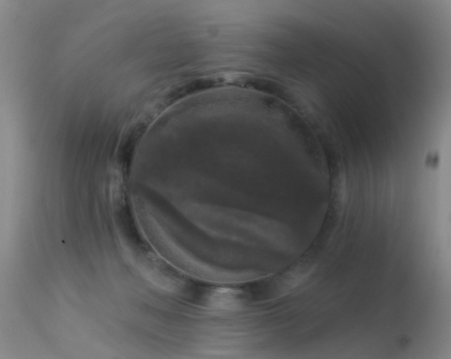 X0000113610222200909251150