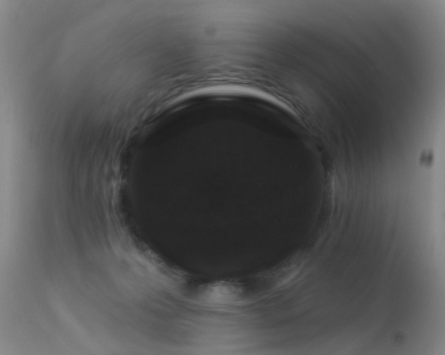 X0000113610223200909251150