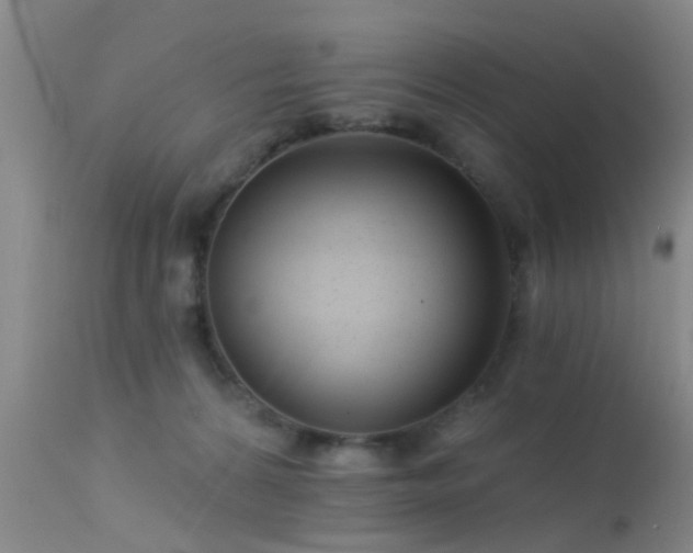 X0000113610224200909251150