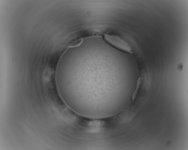 X0000113610225200909251150