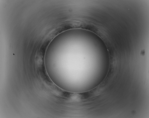 X0000113610226200909251150