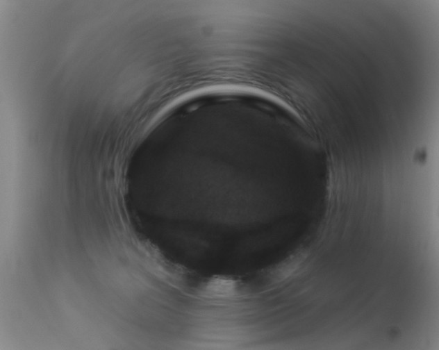 X0000113610227200909251150