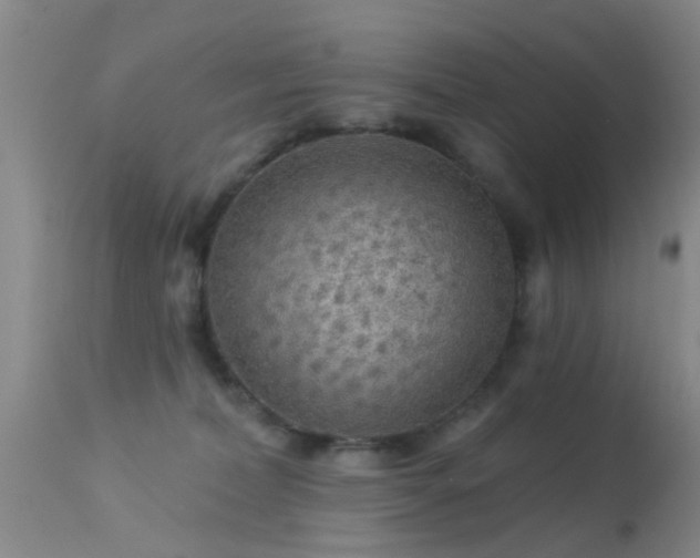 X0000113610228200909251150