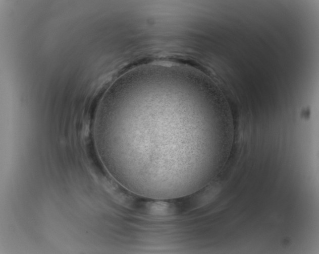 X0000113610230200909251150