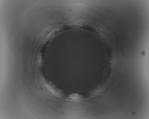 X0000113610231200909251150