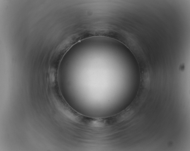 X0000113610232200909251150