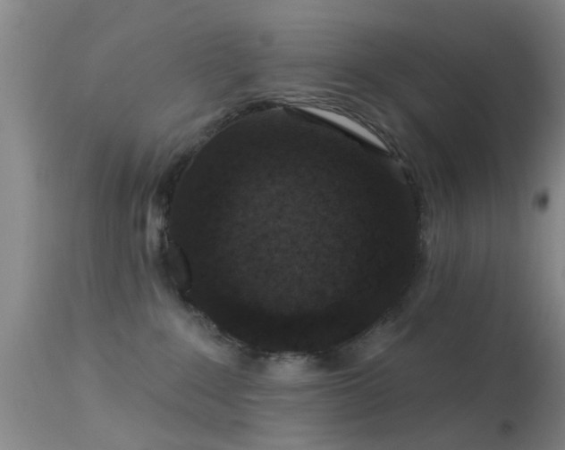 X0000113610235200909251150