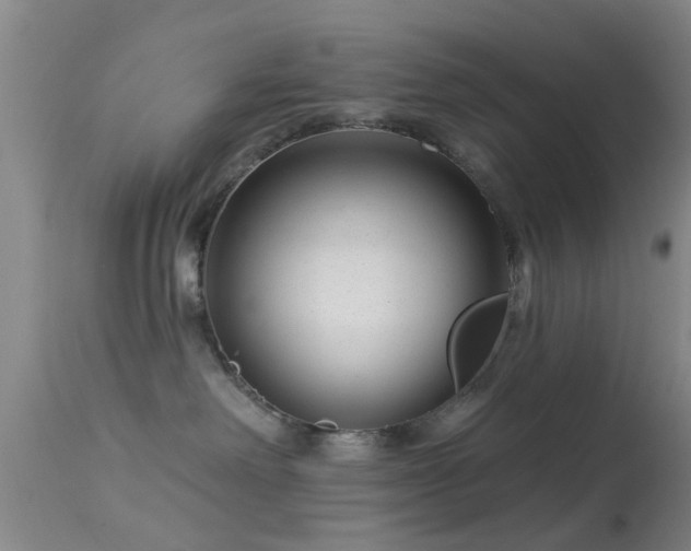 X0000113610238200909251150