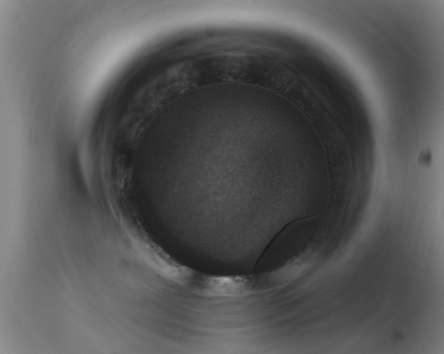 X0000113610239200909251150