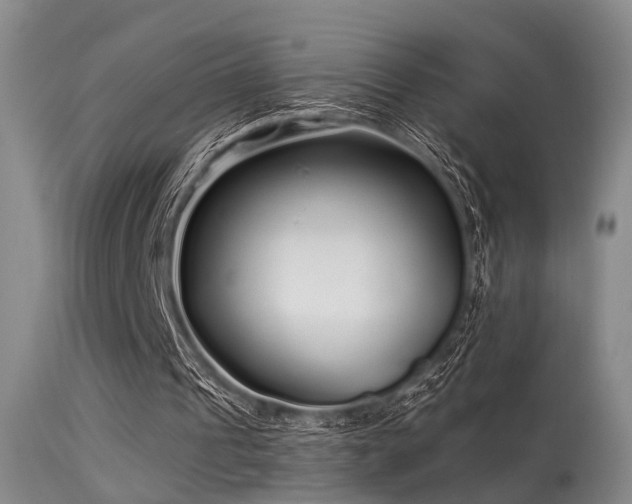 X0000113610241200909251149