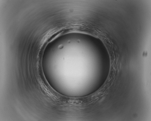 X0000113610242200909251149