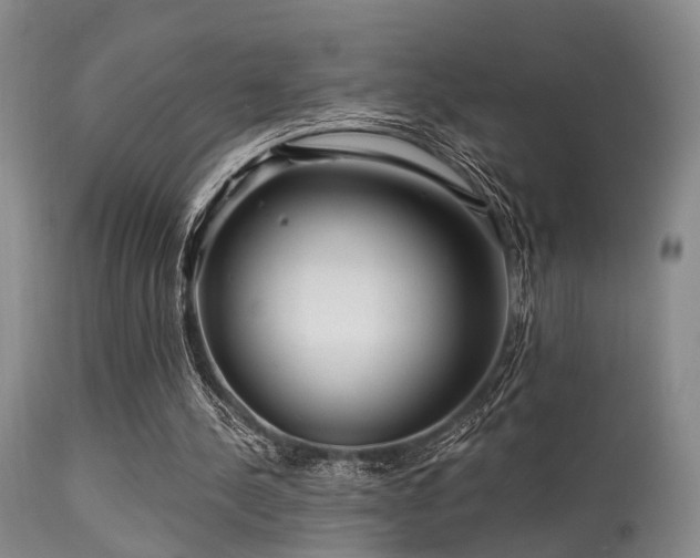 X0000113610244200909251149