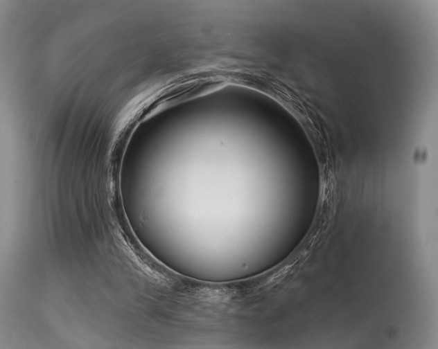 X0000113610245200909251149