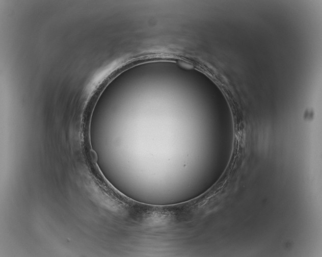 X0000113610248200909251149