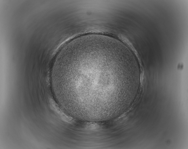 X0000113610249200909251149