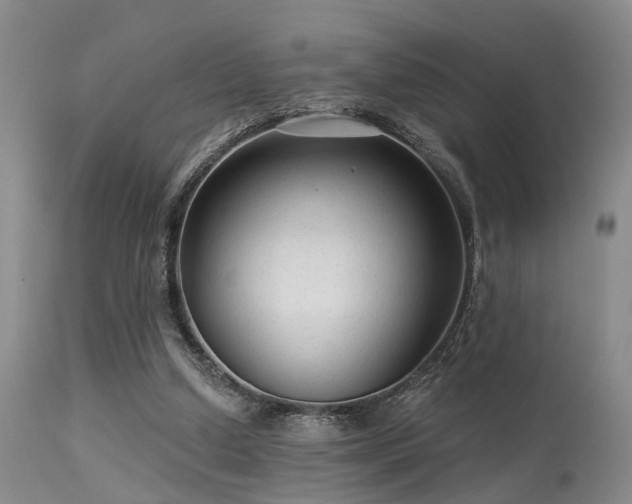 X0000113610250200909251149