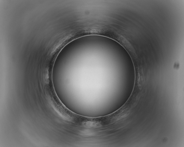 X0000113610251200909251149