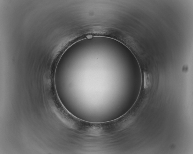 X0000113610252200909251149