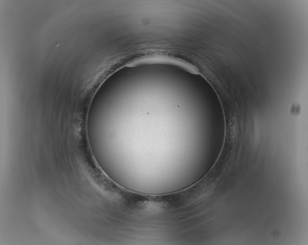 X0000113610255200909251149