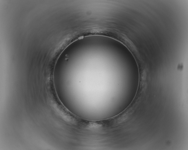 X0000113610257200909251149