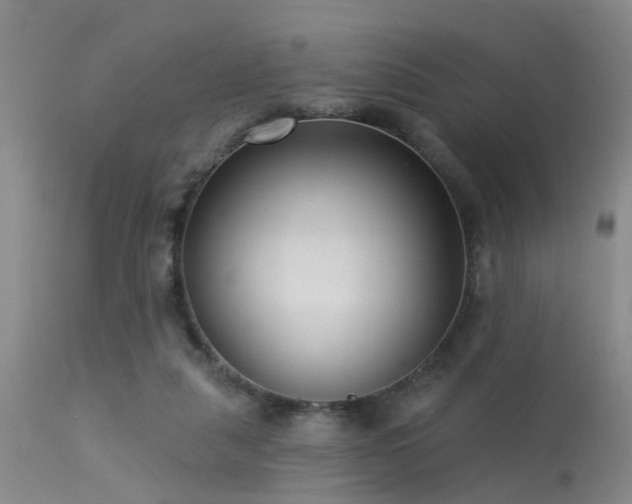 X0000113610259200909251150