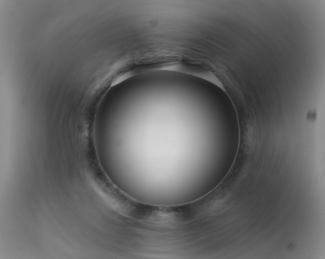 X0000113610260200909251150