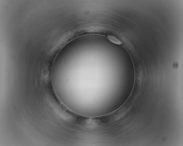 X0000113610261200909251150