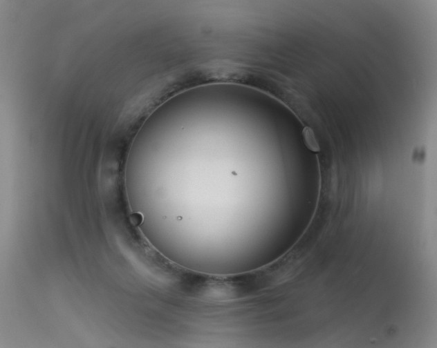 X0000113610263200909251150