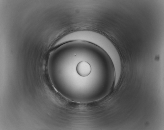 X0000113610264200909251150