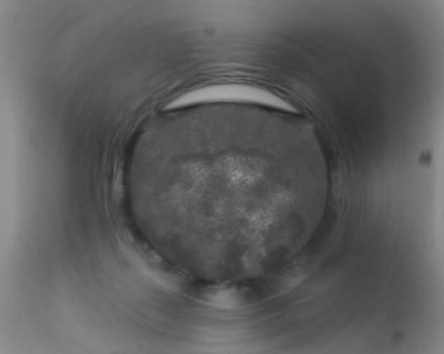 X0000113610267200909251150