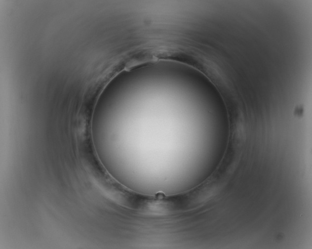 X0000113610268200909251150