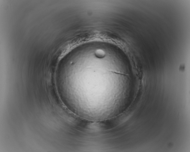 X0000113610269200909251150