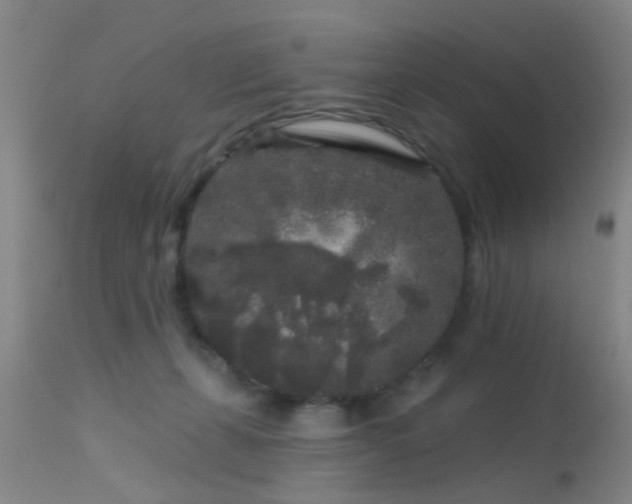 X0000113610271200909251150