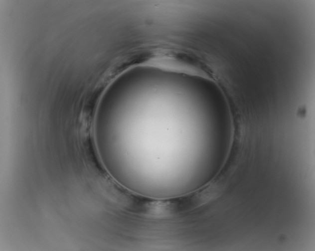 X0000113610273200909251150