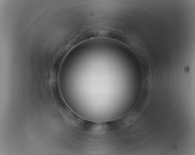 X0000113610274200909251150