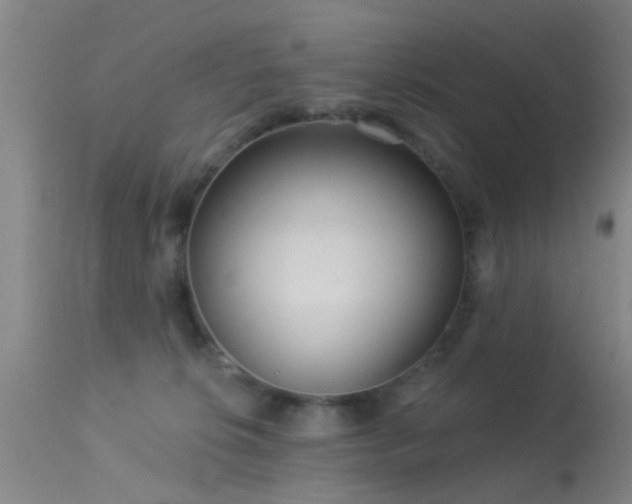 X0000113610276200909251150